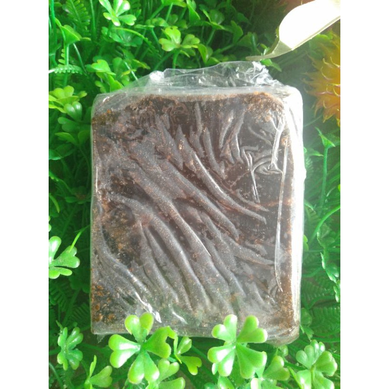 Cao bí đao Cốt nấu nước sâm ngon