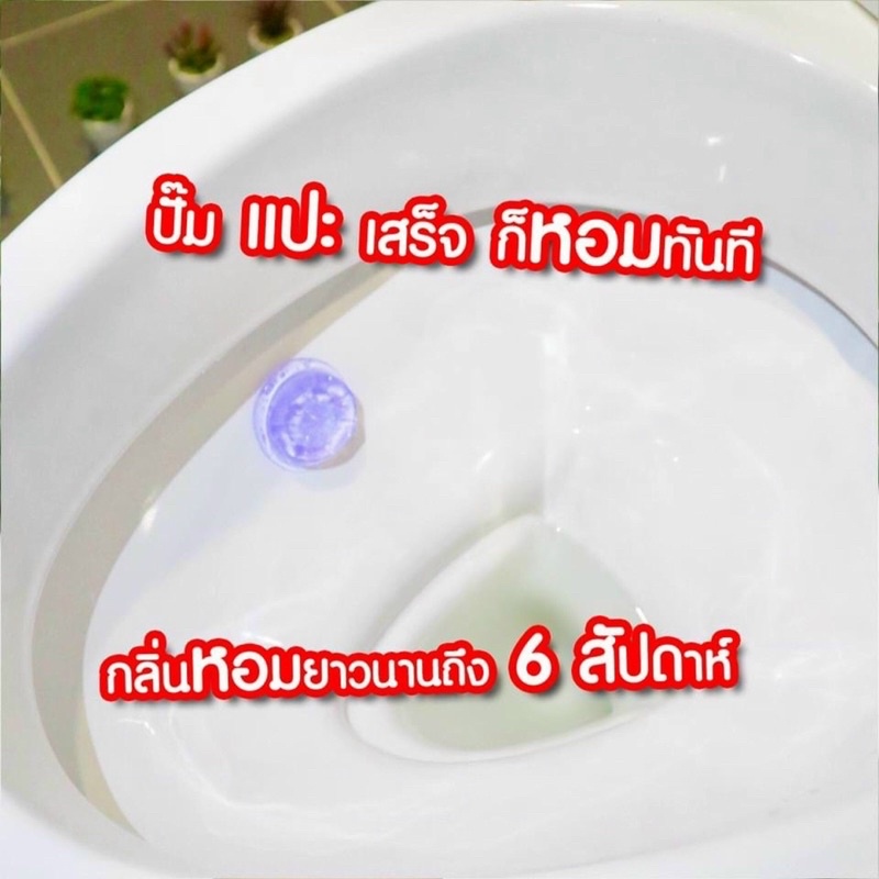 Miếng dán làm sạch tự động và khử mùi bồn cầu Duck chuẩn Thái Lan