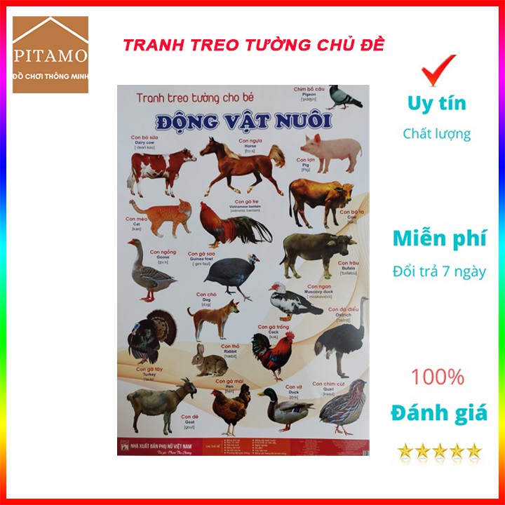 Tranh cho bé học tập treo tường 14 chủ đề song ngữ về thế giới xung quanh loại đẹp