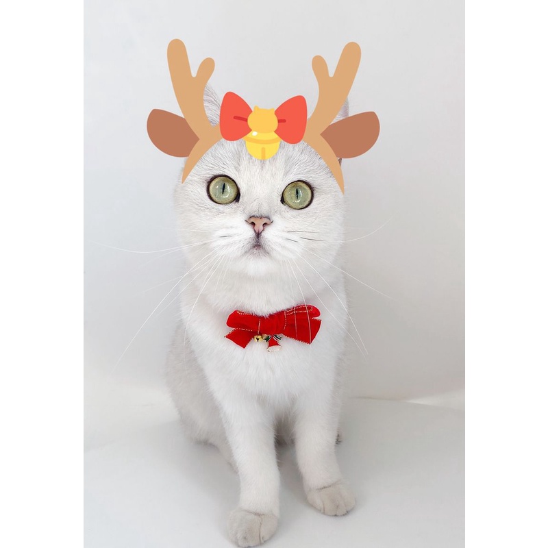 Vòng cổ nơ nhung màu đỏ vàng có thể điều chỉnh cho thú cưng