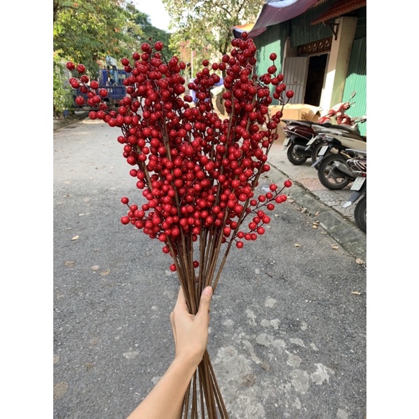 Combo 2 - 10 Cành Đào Đông Đỏ Siêu Đẹp