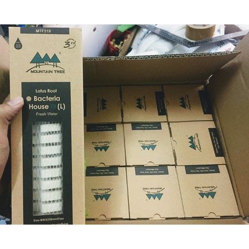 Sứ  củ sen soắn thế hệ 3 (Bacteria House) Mountain tree Root 3 cho bể lọc hồ cá