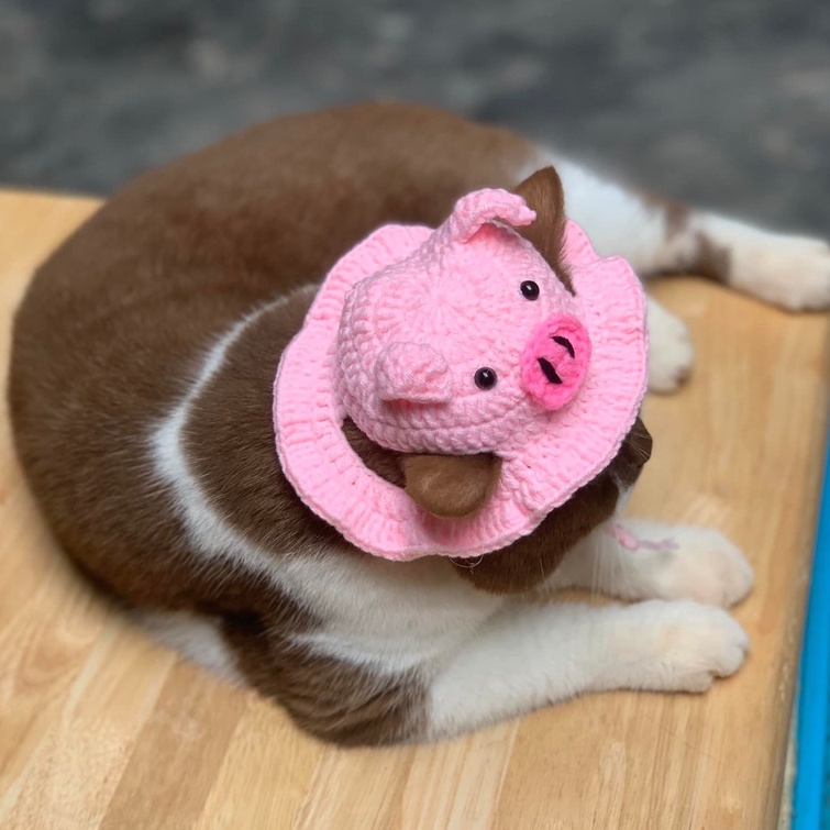 Mũ/nón móc len cosplay heo hồng dễ thương cho chó mèo