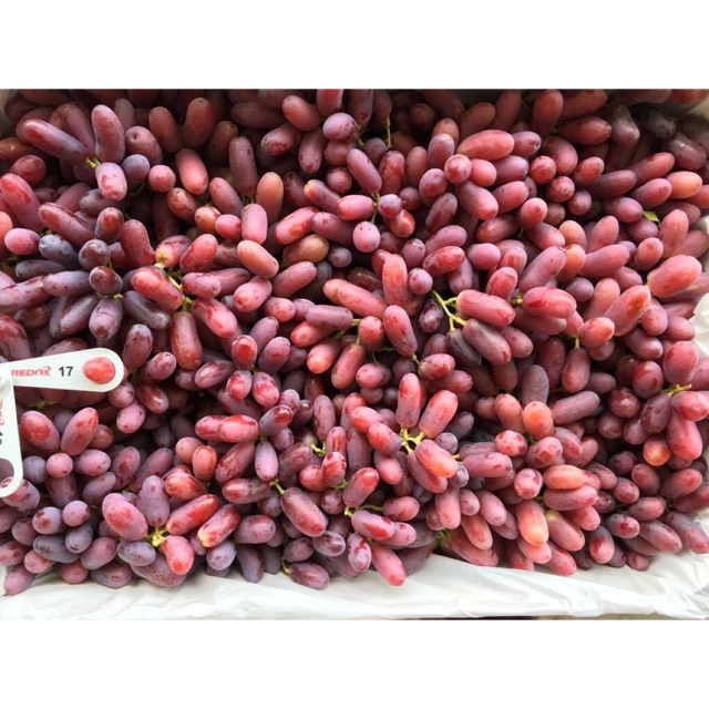 Nho đỏ nhập khẩu úc giao luôn tại hà nội