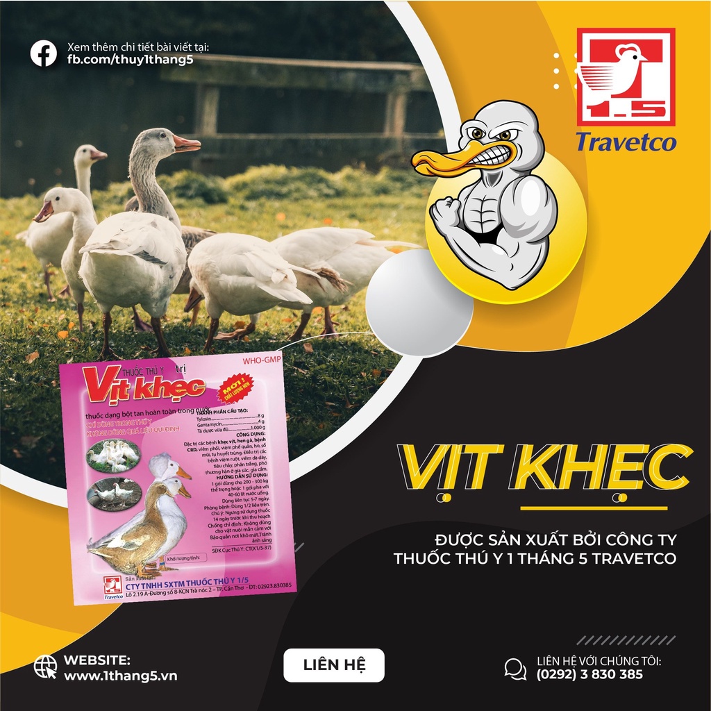 [DT] Vịt khẹc 50g 𝐂𝐨̂𝐧𝐠 𝐭𝐲 𝐓𝐡𝐮𝐨̂́𝐜 𝐓𝐡𝐮́ 𝐘 𝟏 𝐓𝐡𝐚́𝐧𝐠 𝟓 𝐓𝐫𝐚𝐯𝐞𝐭𝐜𝐨