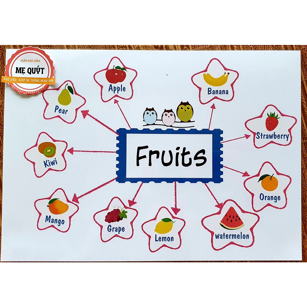 Mind Map Sơ Đồ Tư Duy - Giúp Bé Phát Triển Tư Duy Nhanh Nhạy - ÉP PLASTIC Bền Chắc Chắn