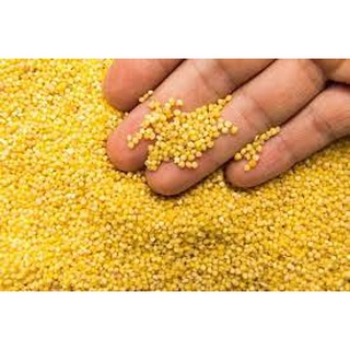 Hạt Kê vàng hữu cơ đã bóc vỏ 500Gr