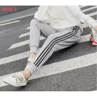 Quần nỉ nam 3 sọc jogger
