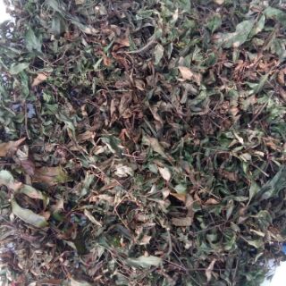 Gối lá đinh lăng (gối ôm) kt 1m