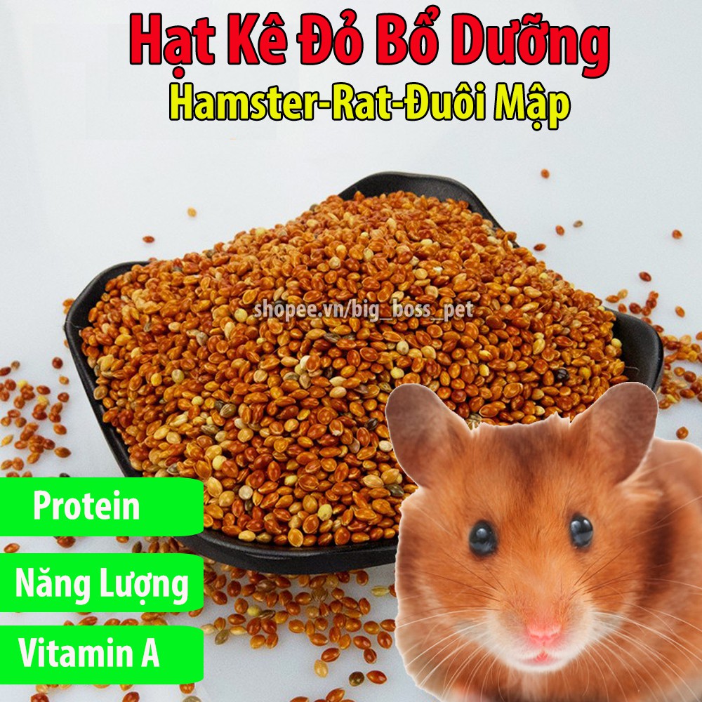 100g Hạt Kê Đỏ Bổ Dưỡng Cho Hamster-Rat-Đuôi Mập