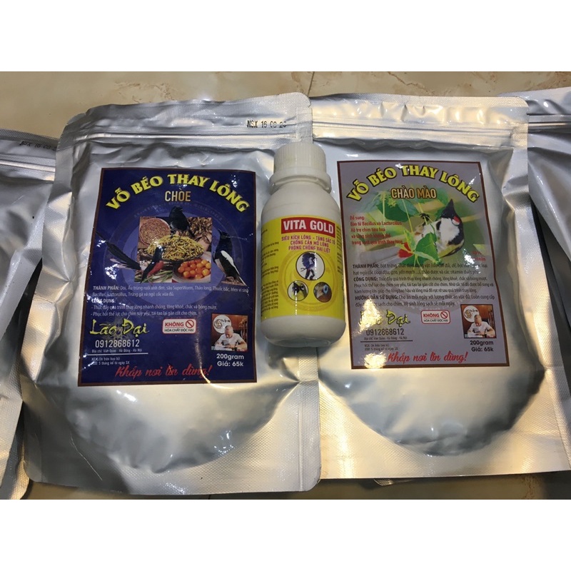 Cám vỗ béo thay lông chào mào-lão đại