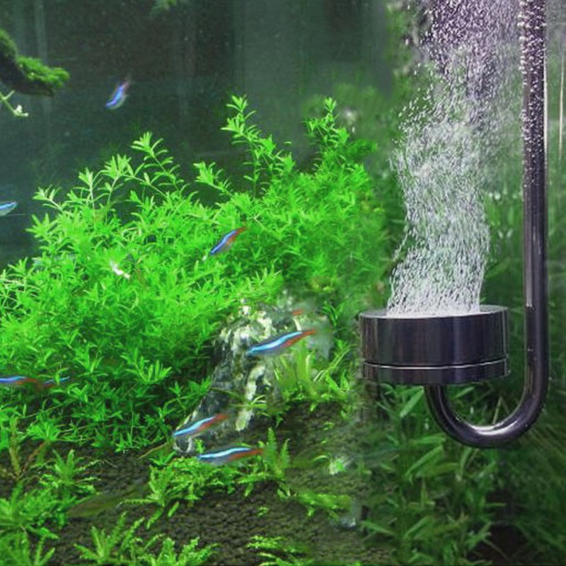Đầu Khuếch Tán Co2 Bằng Thép Không Gỉ Cho Bể Cá