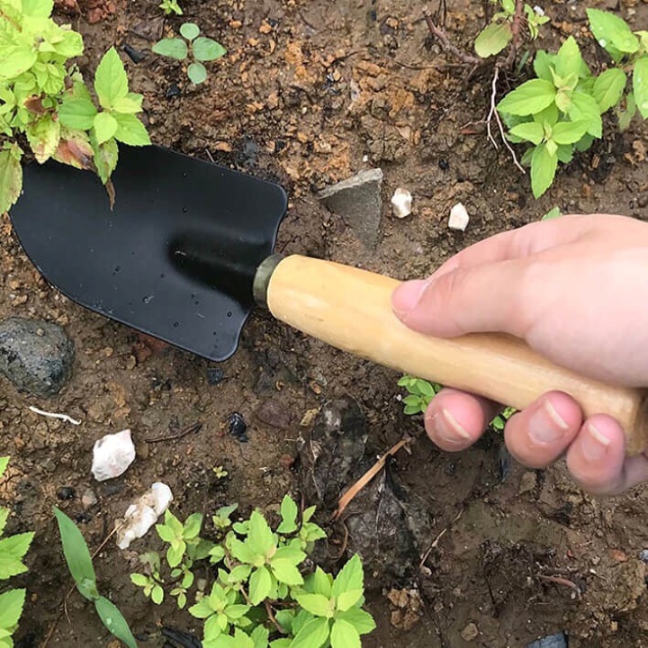 Bộ Dụng Cụ Làm Vườn Cán Gỗ Garden Tool- lớn