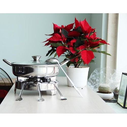 NỒI LẨU INOX NẮP KÍNH SIZE 26CM