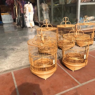 Lồng khuyên lùn