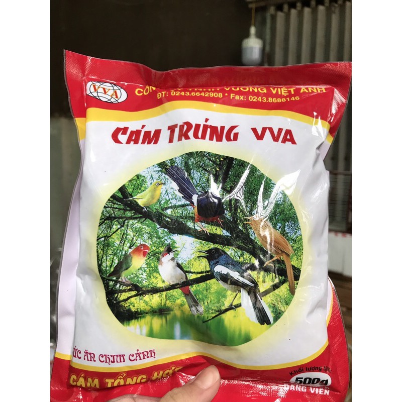 CÁM TỔNG HỢP VƯƠNG VIỆT ANH dạng viên(mới lên giá)