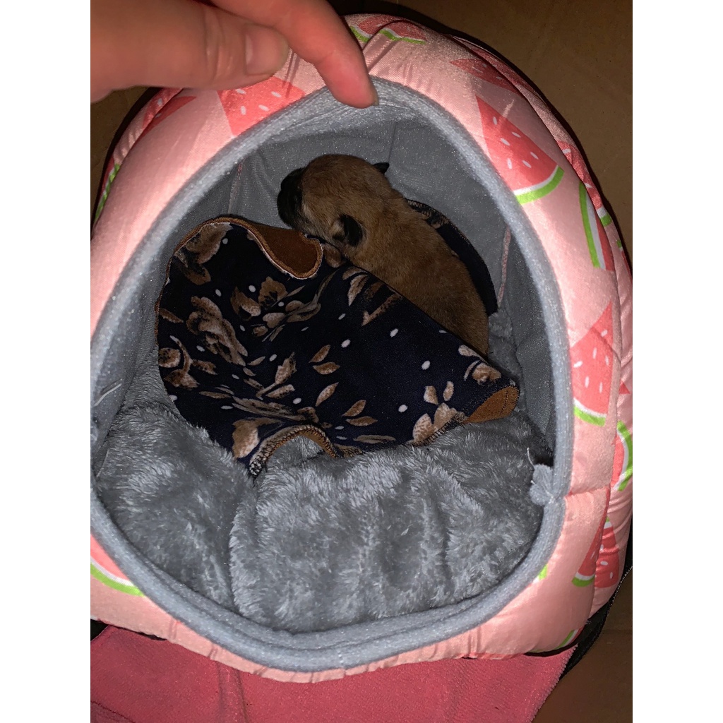 Chuồng chó/giường cho mèo /giường cho mèo/giường ngủ cho chó/chuồng mèo giá rẻ/giường cho thú cưng/Mềm mại và không trơn trượt, dễ dàng làm sạch