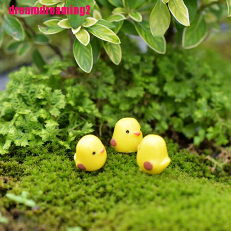 Set 5 mô hình chú gà mini trang trí tiểu cảnh sân vườn