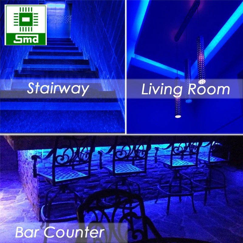 Cuộn Led dây dán 5m 5050 12v có keo