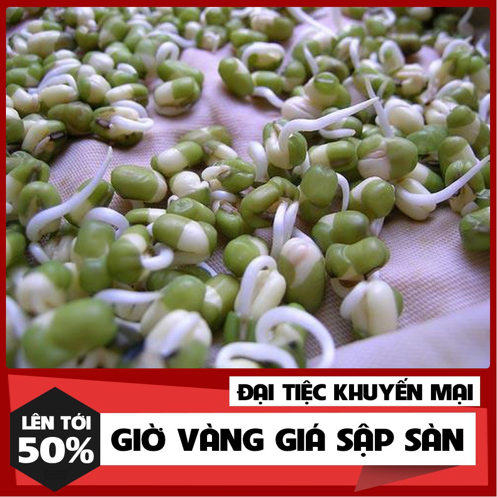 100 Gram Hạt Mầm Giá Đậu Xanh Phú Nông