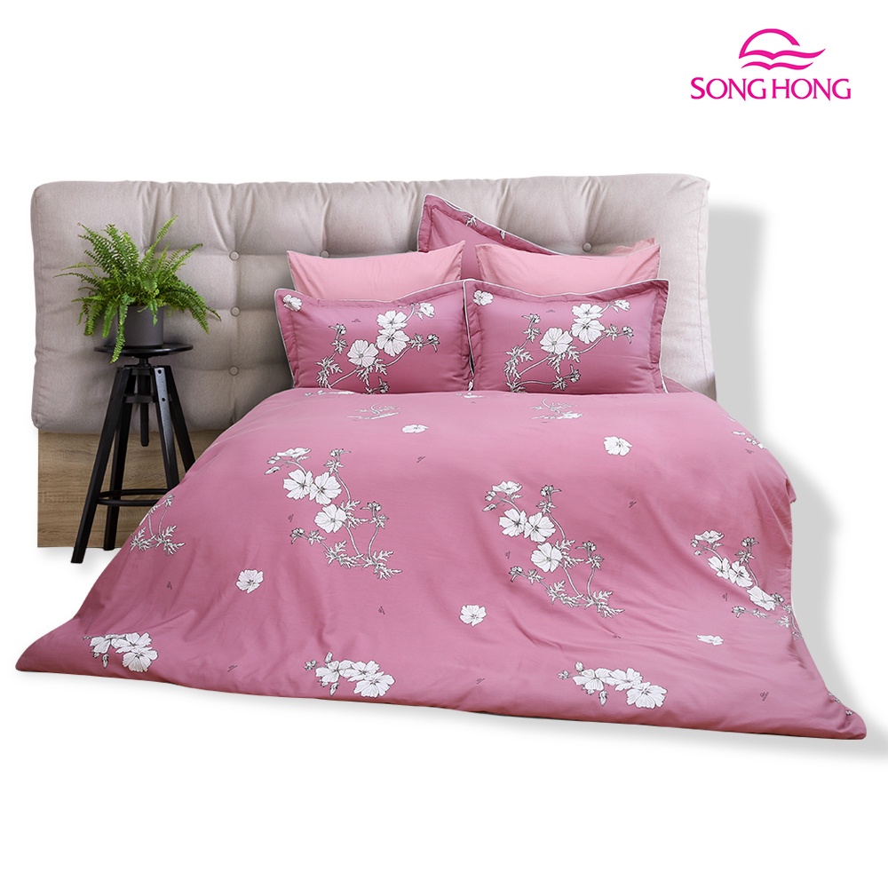 Thanh lý bộ ga chun Sông Hồng BC20 012 chất cotton kích thước 1m2 /1m5 /2m