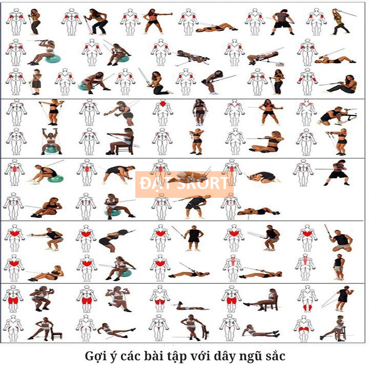 [Hàng Cao Cấp] Bộ 5 Dây Ngũ Sắc 11 Món , Cao Cấp Đàn Hồi Kháng Lực Tập Gym , Fitness , Yoga, Tại Nhà