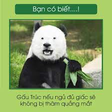 Kem ngăn ngừa vết nhăn thâm mắt(peiland superb)