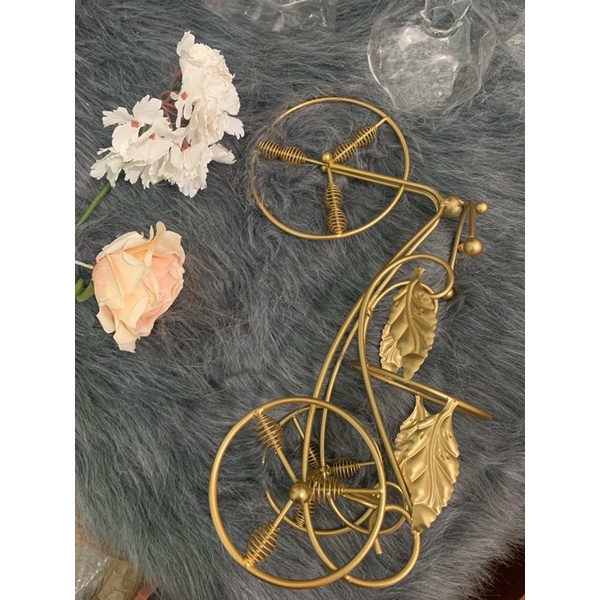 GIÁ KÊ CHAI RƯỢU VANG - XE ĐẠP CHỞ CHAI VANG SANG CHẢNH