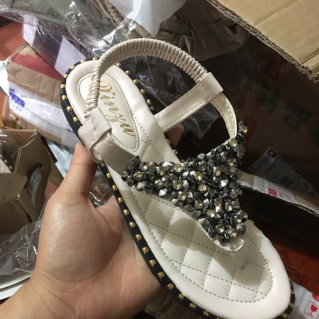 Combo dép quai hậu