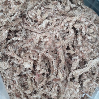 100g Rêu Sâu Chi  Lê Cao cấp trồng Lan