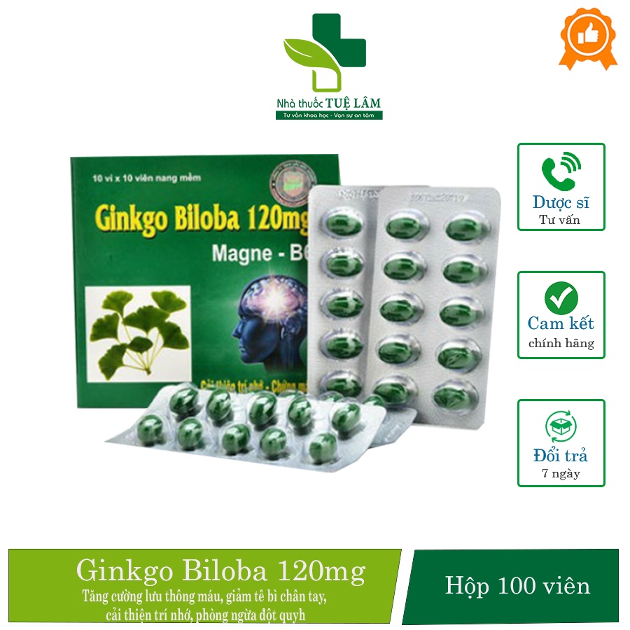 Hoạt huyết dưỡng não Ginkgo Biloba 120mg 100 viên - Tăng cường tuần hoàn máu não, phòng ngừa đột quỵ, giảm tai biến