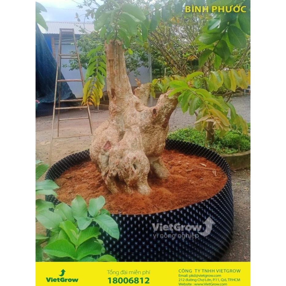 Bầu ươm cây 30cm  V6 (Cao 30cm, bán theo mét tới), mỗi mét tặng 2 con vít gài