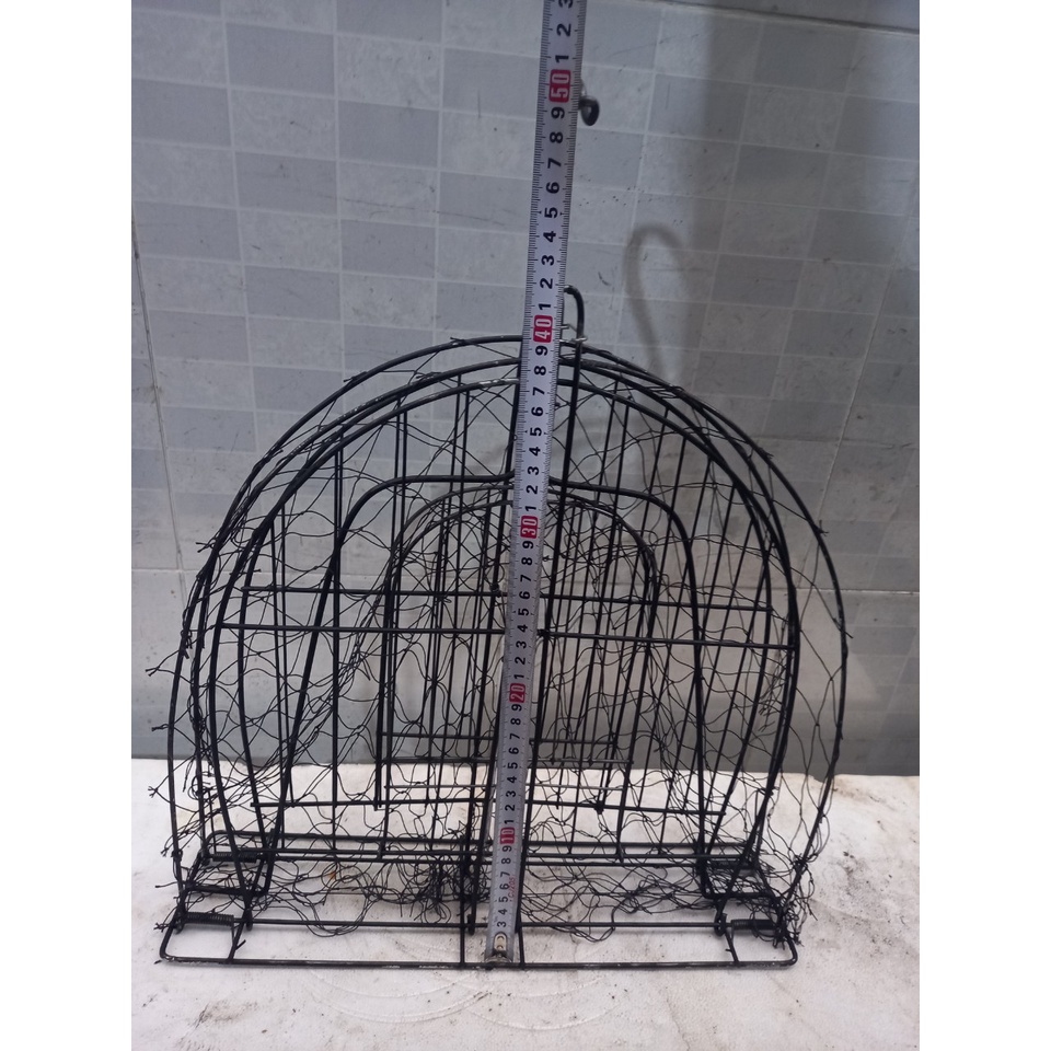 Lụp sơn đen bẫy chim bìm bịp, chim quốc