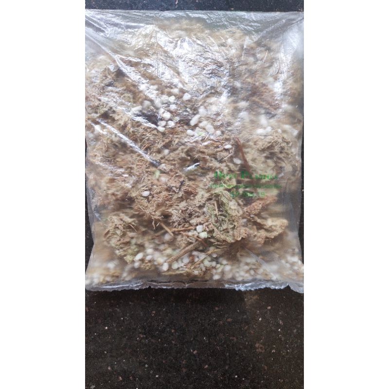 100g Dớn chile trộn perlite dùng trồng cây ăn thịt,cây bắt mồi,hoa lan