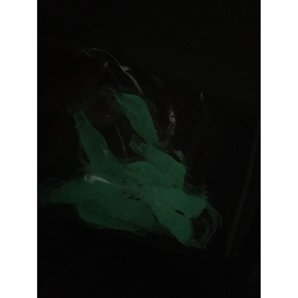 10 Mồi Tôm Giả Câu Cá Phát Sáng 4cm