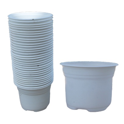 Chậu trồng sen đá (105x80mm) giá sỉ 1 bao 700 cái