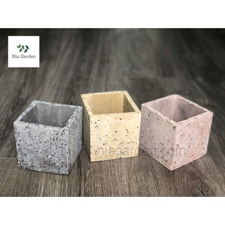 Chậu trồng cây cảnh, đá vuông 10x10 cm