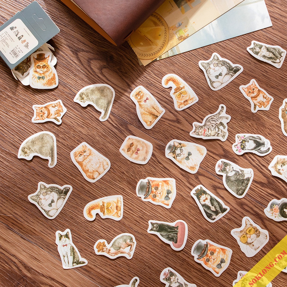 Sticker cute hình mèo hộp 46 sticker hoạt hình Mèo STI62 phong cách Châu Âu dễ thương