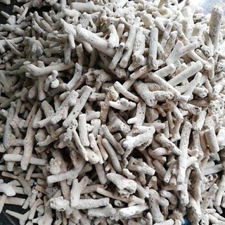 200g San hô vụn làm tăng pH - Vật liệu lọc hồ cá - Phụ kiện thủy sinh