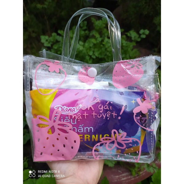 set băng vệ sinh diana kèm túi