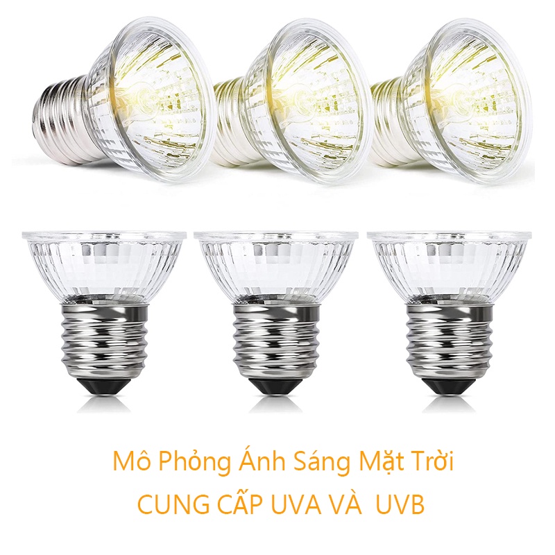 Đèn sưởi ngày cho bò sát dùng cho rùa bò sát, rùa cảnh sưởi ấm