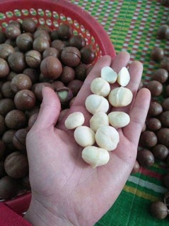 Macca Lâm Đồng-500g