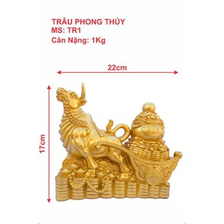 THỎI TRÂU VÀNg TÀI TỘC ĐÓN TẾT