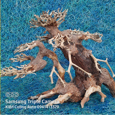 Mô hình Cây gỗ lũa thủy sinh Không tán SIZE đại dùng cho bể cá cảnh