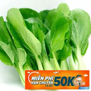 20g Hạt giống Cải thìa