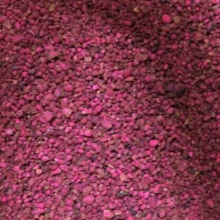 Thuốc tím trị rệp StarkleG Thái Lan