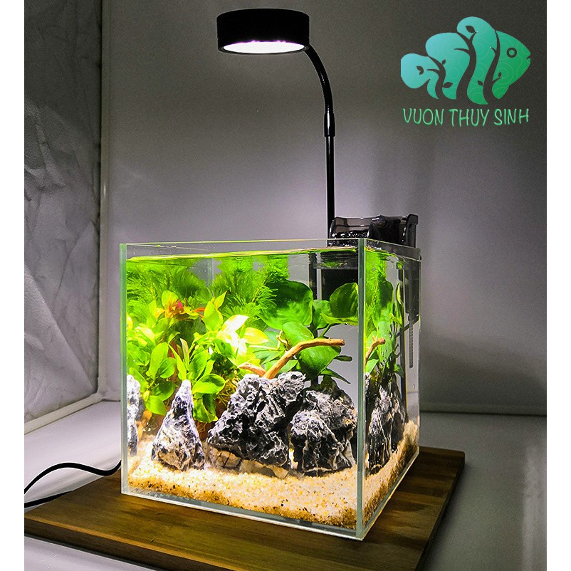 Đèn LED đế gỗ cao cấp 3W- 5W- 7W- 9WIĐèn thủy sinhIĐèn tiểu cảnhI Đèn cho hồ mini