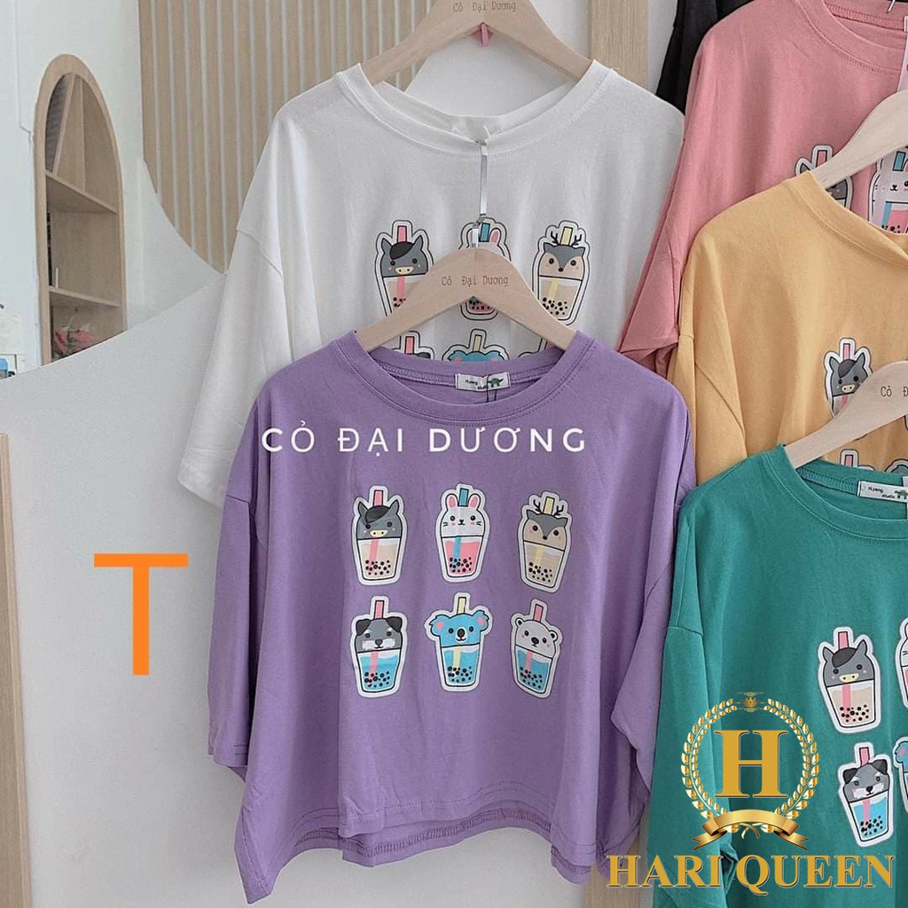Áo croptop 6 cây kem DTR0720
