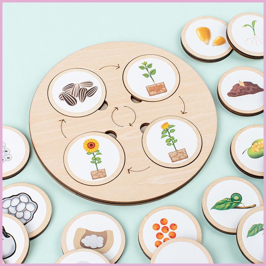 Bộ Đồ Chơi Xếp Hình Vòng Đời Đời Của Montessori Bằng Gỗ Kèm Năm Ngăn
