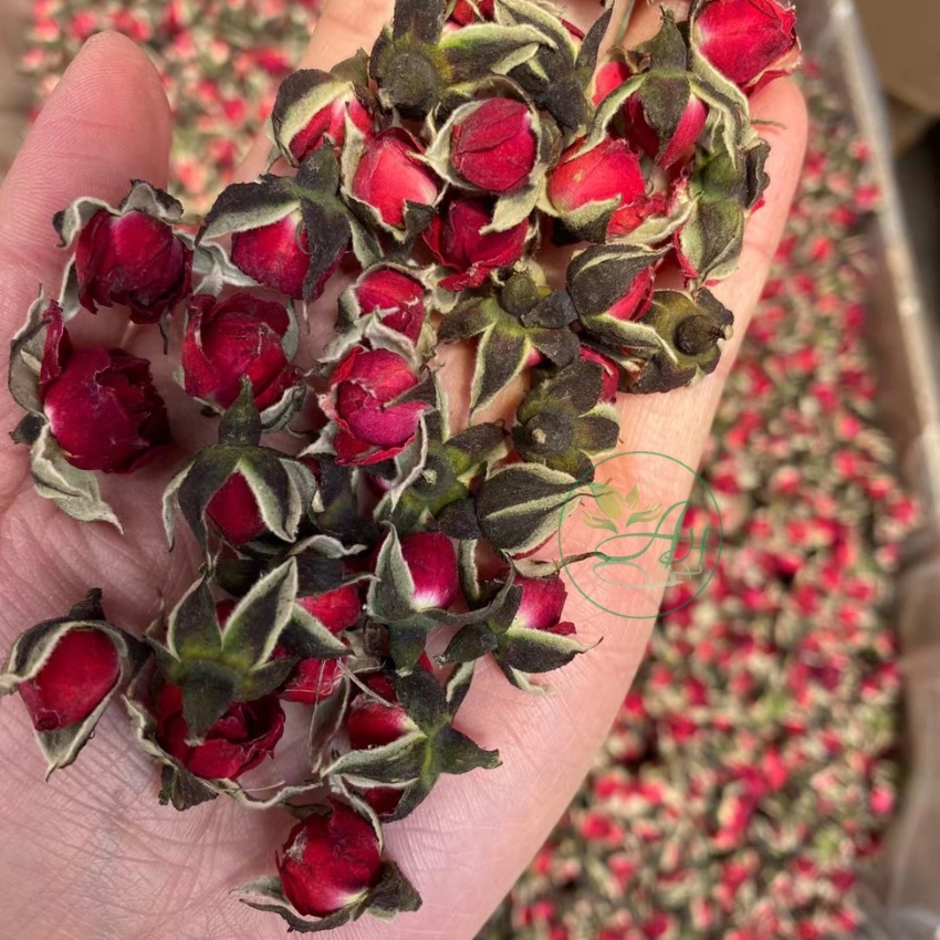 Trà Hoa Hồng Tây Tạng 100gr Sấy Khô Nguyên Nụ Thơm Đẹp Đẹp Da, Giảm Stress, Thải Độc, Chống lão hóa